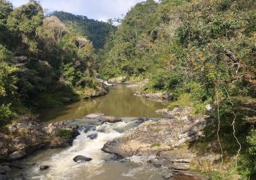 Nature RAIN FOREST