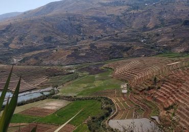 Madagascar Agriculture