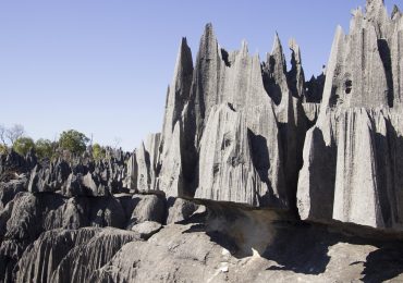 Madagascar West Circuit & Eastern Rainforest – 12 Days / 11 Nights