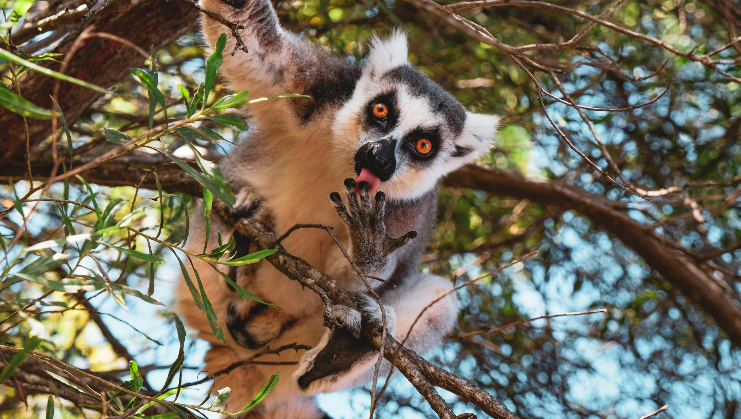 ecotourism Madagascar responsible travel