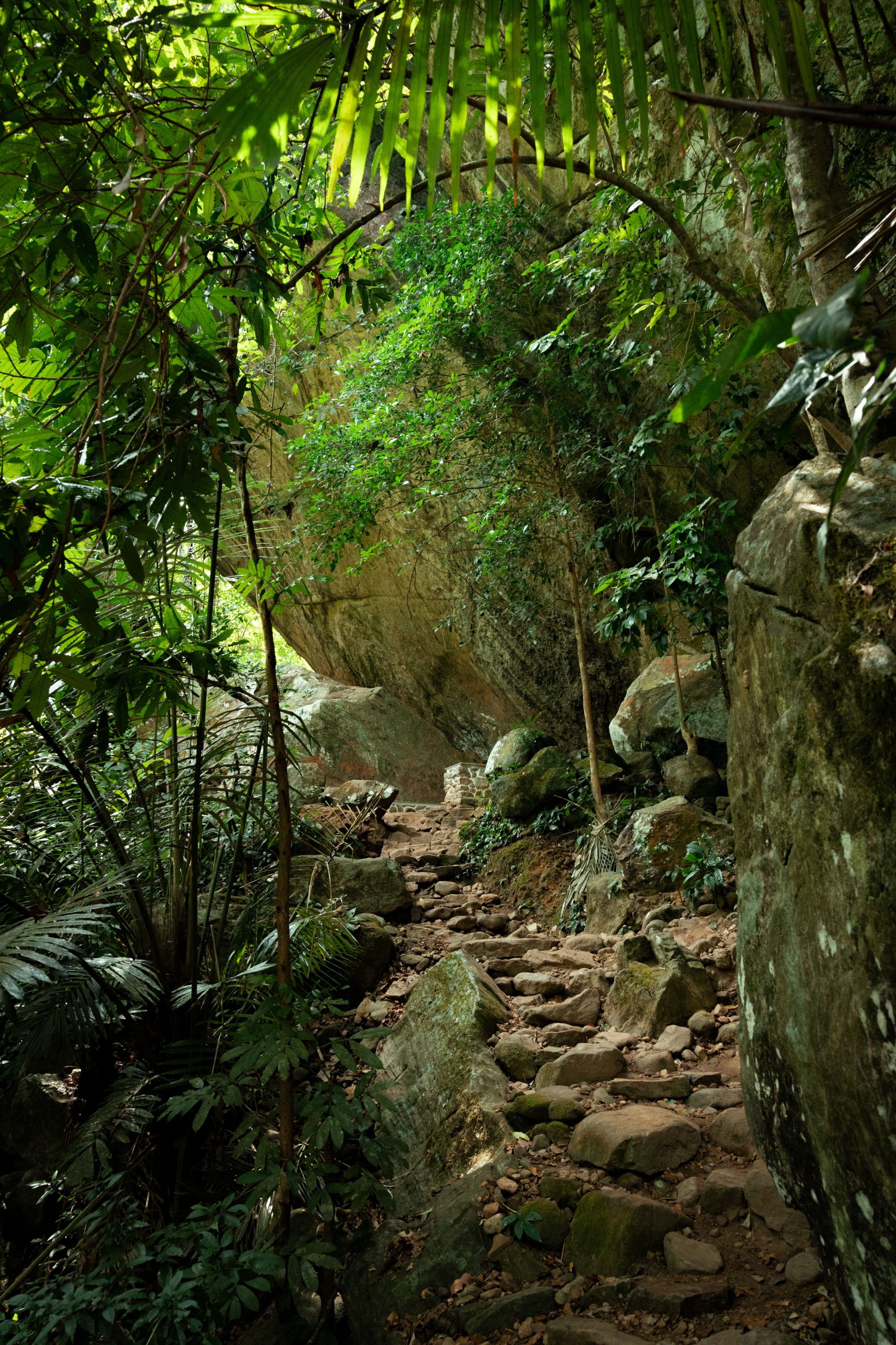 Isalo natural swimming pool surrounded by lush tropical vegetation, Madagascar